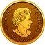 Canada 10 Dollars (Moose. Bullion) ELIZABETH II D G REGINA 10 DOLLARS SB coin obverse