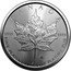 Canada 50 Dollars Maple Leaf. Transition obverse. Bullion Coinage 2023  Bullion with radial lines CANADA 9995 9995 23 FINE PLATINUM 1 OZ PLATINE PUR coin reverse