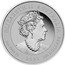 Australia 100 Dollars Unicorn 2021 P Proof ELIZABETH II AUSTRALIA 1OZ 9995 PT 2021 100 DOLLARS JC coin obverse