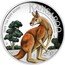 Australia 1 Dollar Kangaroo. Coloured 2023 P Proof - High Relief 2023 1OZ 9999 SILVER KANGAROO P IJ coin reverse