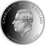 Niue 2 Dollars Cancer Research - Agostino Gemelli IRCCS University Polyclinic Foundation 2023 JC CHARLES III NIUE 2 DOLLARS 2023 1 OZ 9999 FINE SILVER 2023 coin obverse