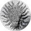 Niue Fifty Dollars Water Dragon 2024 ʟMㅈ  coin reverse