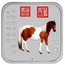 Australia 1 Dollar Horse series - Chihuaying Horse 2014  P coin reverse