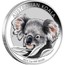 Australia 1 Dollar Koala 2014  AUSTRALIAN KOALA 2014 1 OZ 999 SILVER P MG coin reverse