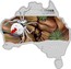 Australia 1 Dollar Redback Spider (Map Shape) 2015  REDBACK SPIDER 1OZ 999 SILVER P 2015 coin reverse