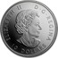 Canada 10 Dollars Autumn's Palette 2017 ELIZABETH II D G REGINA 10 DOLLARS SB coin obverse