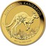 Australia 100 Dollars Australian Kangaroo 2017 AUSTRALIAN KANGAROO 2017 1 OZ 9999 GOLD P JM coin reverse