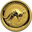 Australia 15 Dollars Australian Kangaroo 2017 AUSTRALIAN KANGAROO 2017 1/10 OZ 9999 GOLD P JM coin reverse