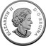Canada 20 Dollars Ice Crystals 2018 ELIZABETH II D • G • REGINA SB coin obverse