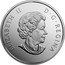 Canada 20 Dollars Under the Sea - Sea Turtle 2017  ELIZABETH II D G REGINA SB coin obverse