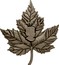 Canada 250 Dollars Maple Leaf Shaped 2017 CANADA ELIZABETH II D ∙ G ∙ REGINA SB coin obverse