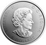 Canada 5 Dollars Voyageur Special Edition 2017 ELIZABETH II D G REGINA 5 DOLLARS SB coin obverse