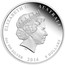 Australia 8 Dollars Year of the Horse 2014 ELIZABETH II AUSTRALIA 5 OZ 999 SILVER 2014 8 DOLLARS IRB coin obverse