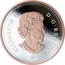 Canada Dollar Voyageur 2018 ELIZABETH II D G REGINA SB coin obverse