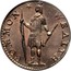 USA Half Cent Massachusetts 1788 KM# 19 COMMON * WEALTH coin obverse