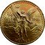 Mexico 1/4 Onza Winged Victory 1981 KM# 487 1/4 ONZA ORO PURO MEXICO 1982 coin reverse
