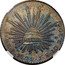 Mexico 8 Reales (Radiant Cap Pattern) LIBERTAD 8R PI. 1829 J S 10DS. 20GS. coin reverse