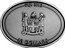 Fiji 10 Dollars Bald Eagle 2013 KM# 471 FIJI 2013 10 DOLLARS coin obverse