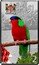 Fiji 2 Dollars Collared Lory 2013 Proof KM# 367 $2 FIJI coin reverse