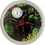 Cook Islands Dollar Serpent Starfish 1999 Proof KM# 364 1 OZ 999 SILVER 1 DOLLAR coin reverse