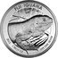 Fiji One Dollar Iguana 2015 Prooflike KM# 525 FIJI IGUANA 2015 1 TROY OZ .999 FINE SILVER coin reverse