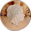 Fiji 1 Dollar Santa Maria. Christopher Columbus 2010 ELIZABETH II FIJI 2010 IRB coin obverse