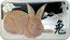 Cook Islands 1 Dollar (Year of the Rabbit. Ginger rabbit) 1OZ 999 SILVER P coin reverse