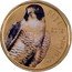 Fiji 2 Dollars (Pilgrim Falcon. Coloured) KM# 337a FIJI GA NI VATUI 2012 coin obverse