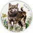 Fiji 50 cents Cats. Coloured 2021 Proof CATS coin reverse