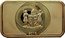 Fiji One Dollar Statue of Liberty. New York 2015  FIJI 2015 coin obverse