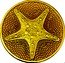 Cook Islands 100 Dollars Gold Star 2021 GOLD STAR FINE GOLD .9999 ONE OUNCE 100 DOLLARS COOK ISLANDS coin reverse