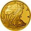 Cook Islands Half Dollar Walking Liberty 100th Anniversary 2016 COPY IRB COOK ISLANDS TRIBUTE TO THE UNITED STATES HALF DOLLAR coin obverse