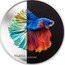 Cook Islands 5 Dollars (Fighting Fish) ECLECTIC NATURE coin reverse