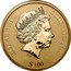 Cook Islands 100 Dollars (Elizabeth II St Peter’s Basilica) ELIZABETH II COOK ISLANDS IRB $100 coin obverse