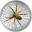 Cook Islands 5 Dollars Elizabeth II Wasp Spider 2016  Proof MAGNIFICENT LIFE coin reverse