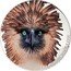Cook Islands 5 Dollars Philippine Eagle 2019  Proof MAGNIFICENT LIFE coin reverse