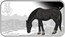 Cook Islands 1 Dollar Year of the Horse. Black Horse 2014 P Proof P NM 1OZ 999 SILVER coin reverse
