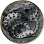 Vanuatu 10 Vatu (Double Giant Predators. Anaconda.) ANACONDA 2024 coin reverse