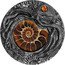 Niue 5 Dollars (Ammonite) AMMONITE coin reverse