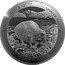 New Zealand Twenty Dollars Charles III 1st Portrait. Great Spotted Kiwi 2024  Silver Proof ROROA GREAT SPOTTED KIWI APTERYX MAXIMA TWENTY DOLLARS coin reverse