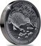 New Zealand Twenty Dollars Tokoeka Southern Brown kiwi 2023 TWENTY DOLLARS TOKOEA SOUTHERN KIWI APTERIX AUSTRALIS coin reverse