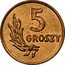 Poland 5 Groszy Circulation Coin 1949 (b) Y# 41 5 GROSZY coin reverse