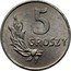Poland 5 Groszy Circulation Coin 1949 (kr) Y# 41A 5 GROSZY coin reverse