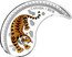 Canada 10 Dollars Yin and Yang. Tiger 2018 Proof CANADA 2018 10 DOLLARS coin reverse