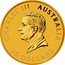 Australia 15 Dollars Charles III 1st Portrait. Australian Kangaroo 2024 P125 BU CHARLES III AUSTRALIA 15 DOLLARS DT coin obverse