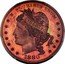 USA 100 Cents 1880 Goloid Metric Dollar. Liberty head. Pattern 1880  E PLURIBUS UNUM LIBERTY 1880 coin obverse