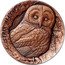 Samoa 25 Cents Tree Hollow. Tawny Owl 2023 Issued in May 2024 STRIX ALUCO coin reverse
