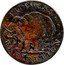 UK 1/2 Penny (Middlesex. Pidcock's. Elephant & Rhino) PIDCOCK'S EXHIBITION coin obverse
