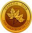 Canada 10 Dollars (Twin Maples. Memorial) CG 9999 CANADA 2023 FINE GOLD 1/4 OZ OR PUR coin reverse