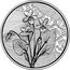 Austria 10 Euro (Flower Language. Violet)  coin reverse